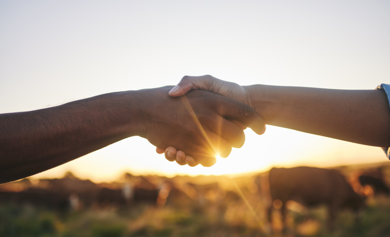 camara discute agrocarbono e conservacao ambiental 1