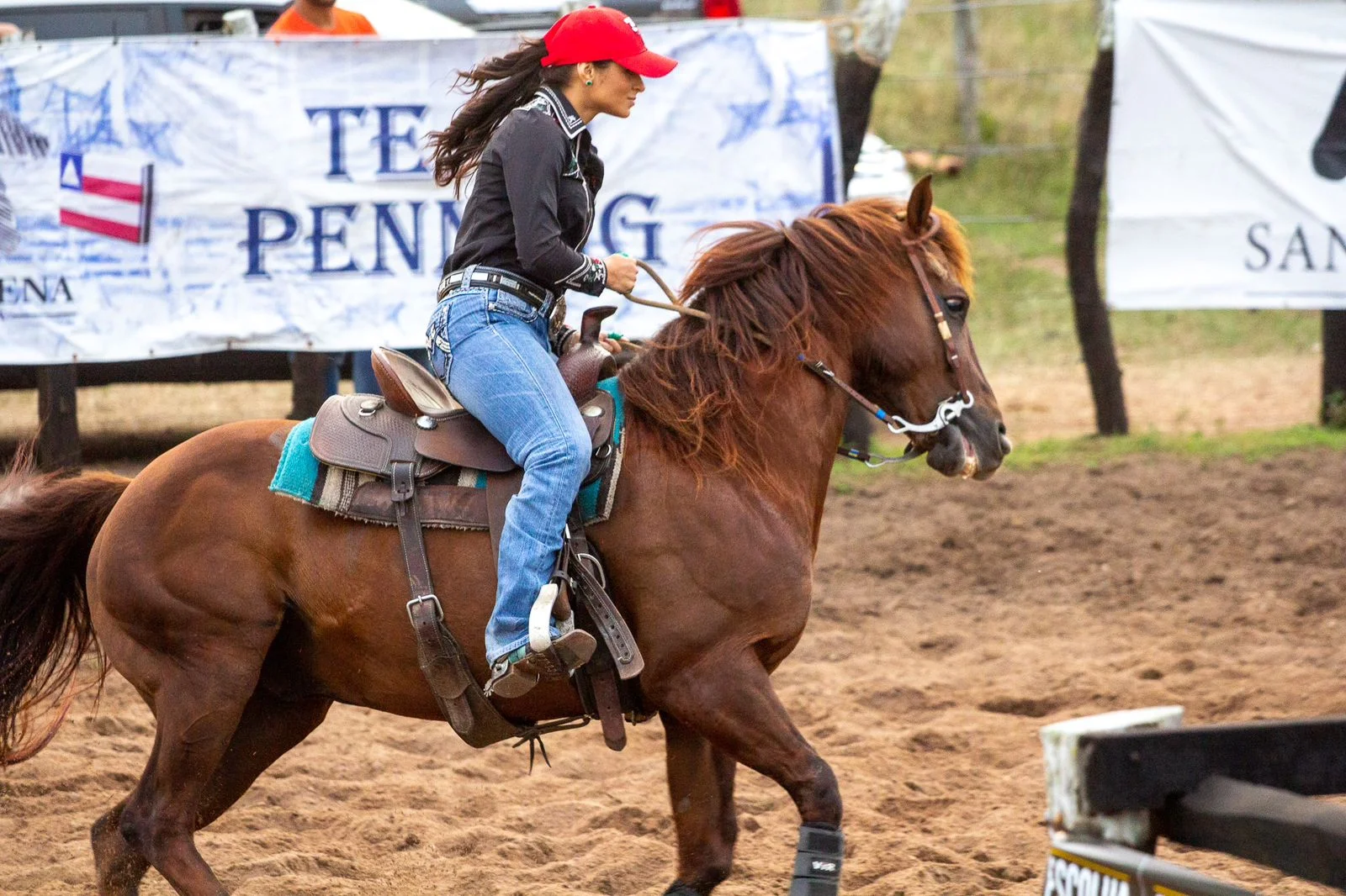 Campeonato Baiano de Team Penning 2024 ao vivo no Youtube! 6 Campeonato Baiano de Team Penning 2024 terá transmissão ao vivo no Youtube em todas as oito etapas