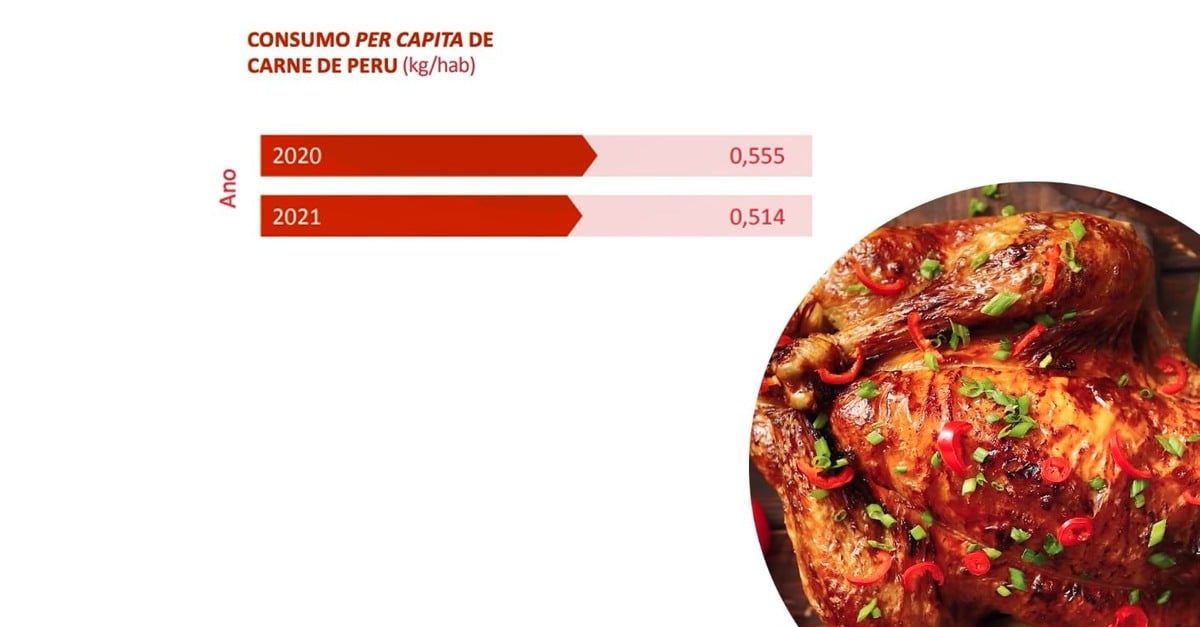 Carne de peru: sucesso global com US$ 200 mi em 2023!