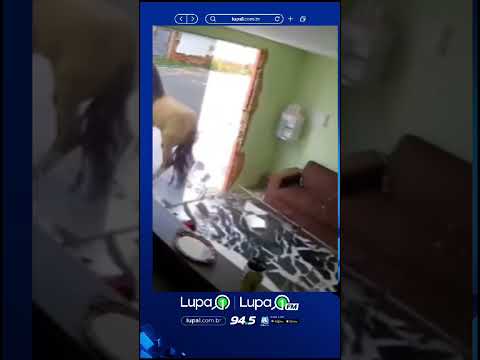 Cavalo causa destruição em clínica – Lupa 1