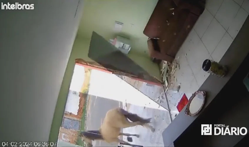 Cavalo quebra vidro de consultório? 2 VÍDEO: Cavalo quebra vidro de consultório odontológico e dentista zoa: "estava morrendo de dor de dente"