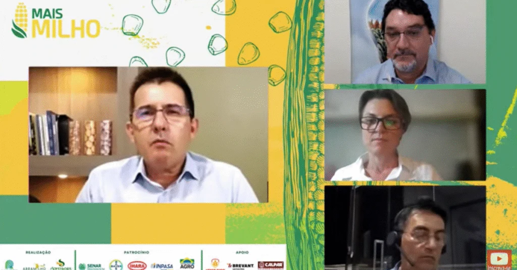 Centro-Oeste: celeiro global de sorgo? 26 Sorgo: Centro-Oeste pode se tornar grande celeiro de produção para o mundo