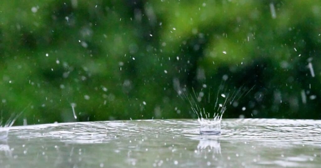 Chuvas de 200 mm: descubra onde 2 Previsão de 200 mm de chuvas nos próximos dias; veja onde