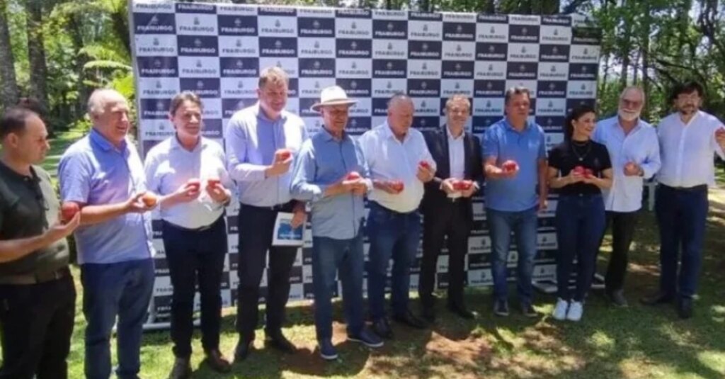 Colheita da maçã tem início no Oeste de Santa Catarina