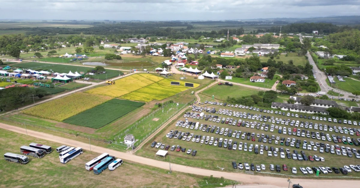 Abertura da colheita do arroz e grãos inicia na quarta-feira