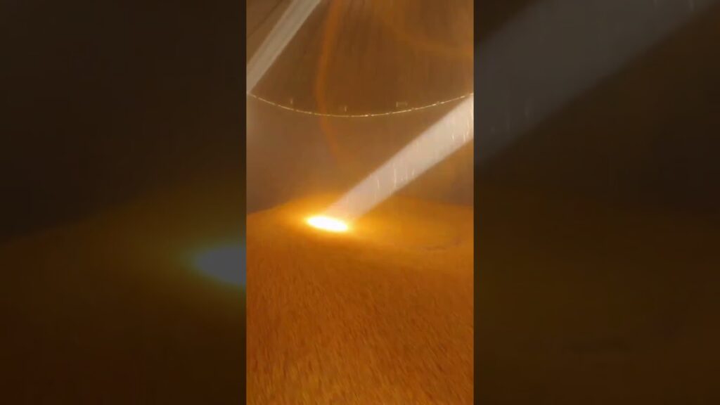 "Colheita de milho: tecnologia no campo" 🌽 #agronomia #tratores 17 colheita de milho tecnologia no campo f09f8cbd agronomia tratores