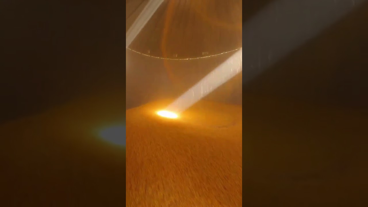 colheita de milho tecnologia no campo f09f8cbd agronomia tratores