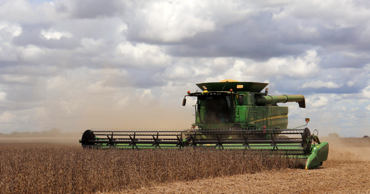 Colheita de soja 2023/24: números surpreendentes