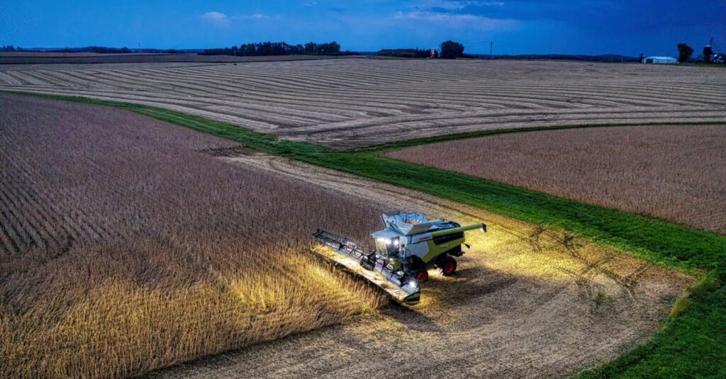 Colheita de soja avança para 23,83%