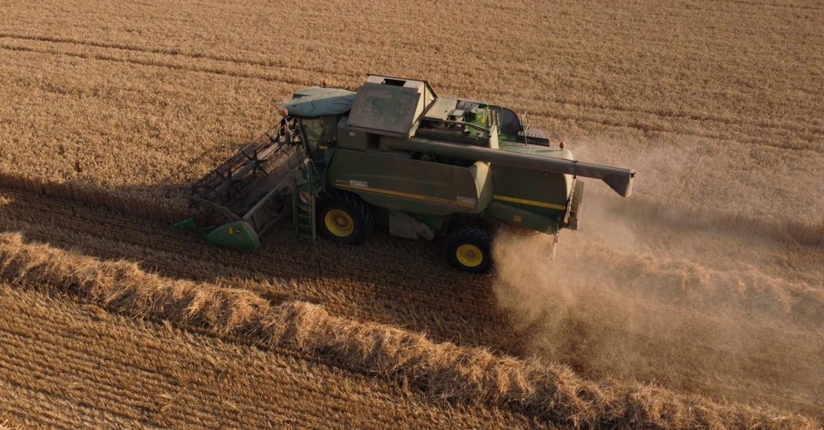 Colheita de soja 2023/24 atinge 21% da área no Brasil