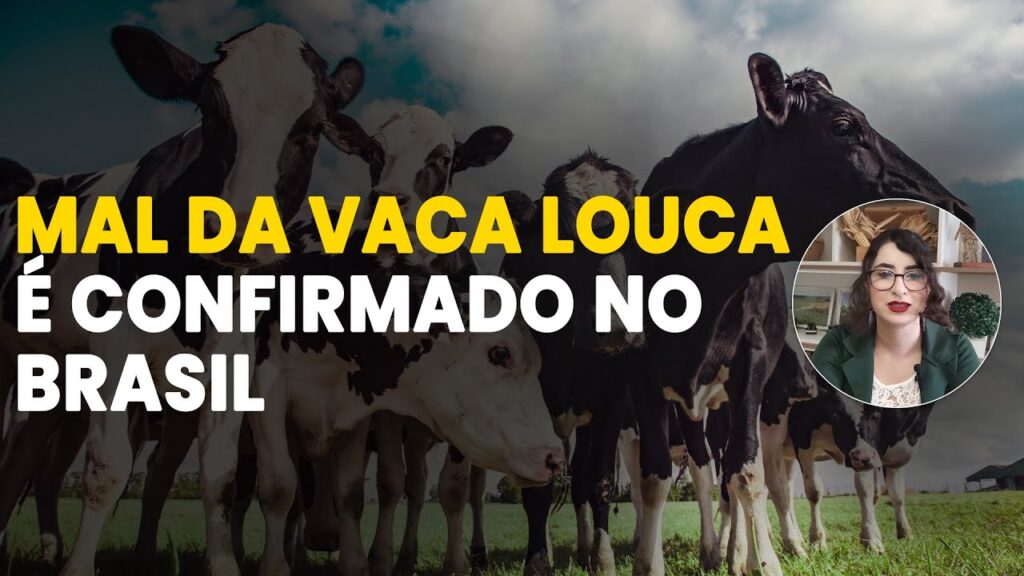 confira as noticias do agro 25 02
