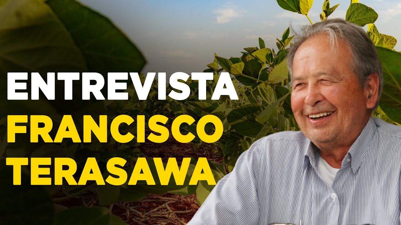 conversa com terasawa insights potentes