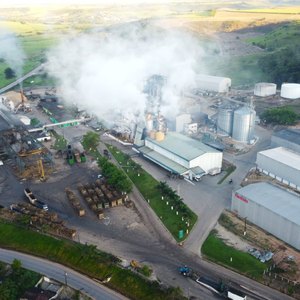 Cooperativa Pindorama: surpreendente vertente lucrativa!