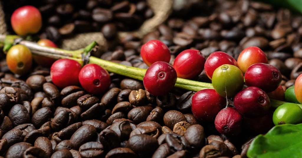 Cresce consumo de café 1,64% 2022/23. 2 Consumo de café no Brasil cresce 1,64% em 2022/23