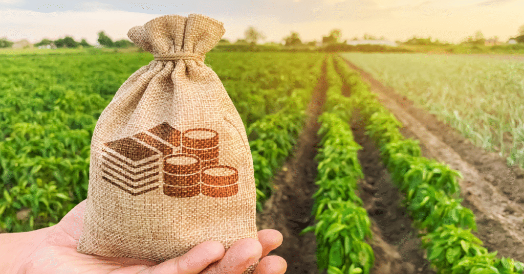 Crescimento de 29%: estoque de CPR atinge R$ 309 bilhões. 1 crescimento de 29 estoque de cpr atinge r 309 bilhoes 1