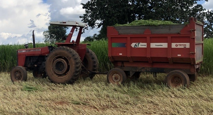 Curso sobre produção de silagem oferecido pelo Senar em Colíder.