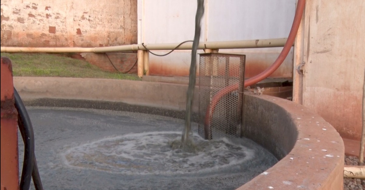 Tecnologia inovadora da Embrapa converte dejetos em fertilizantes