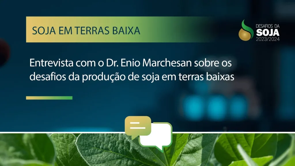 Desafios na produção de soja em terras baixas