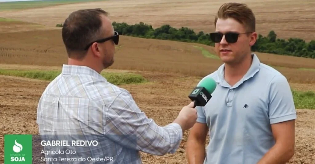 Manejo de doenças foi uma das dificuldades dos produtores nesta safra