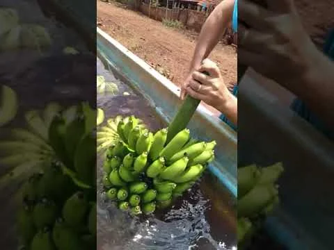 desbrave a nova ferramenta agro agro agricultura