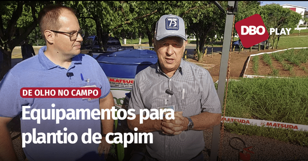 Semeadura é etapa importante para uma boa formação de pastagem • Portal DBO