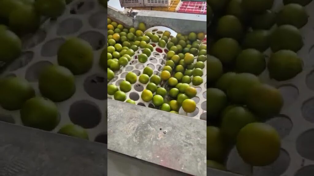 descubra a maquina agricola agro agricultura citrus