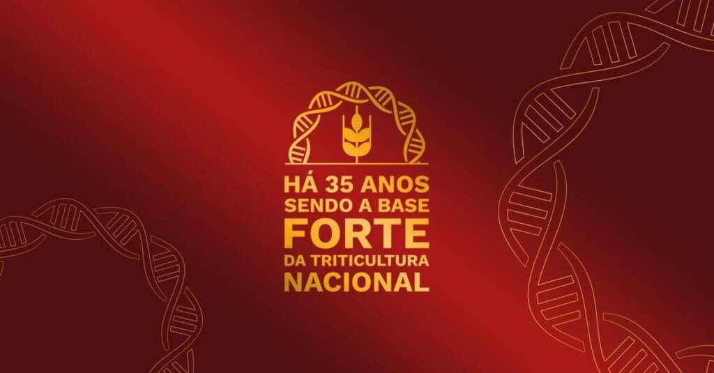 OR Genética de Sementes: uma empresa revitalizada