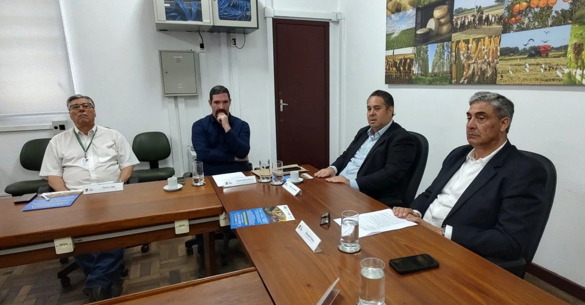 Descubra a surpresa da 12ª Abertura da Colheita da Oliva! 1 Lançada a 12ª Abertura da Colheita da Oliva