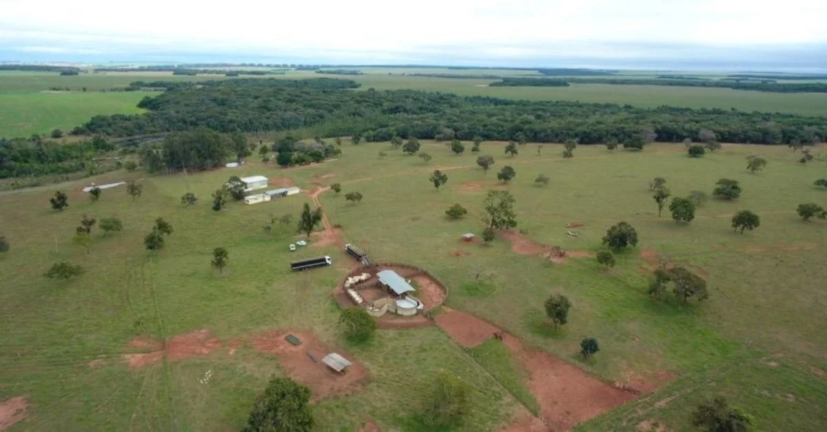 Descubra as consequências da lei sobre terras indígenas. 1 Marco temporal: entenda os reflexos da nova lei sobre a demarcação de terras indígenas