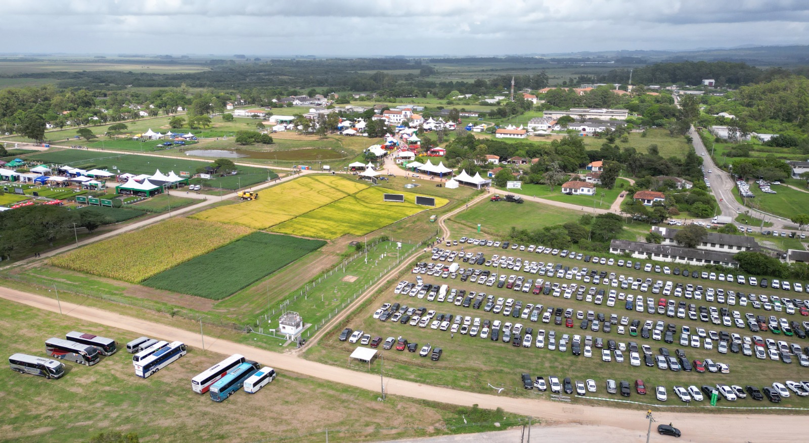 Descubra as inovações da Embrapa na colheita de arroz!