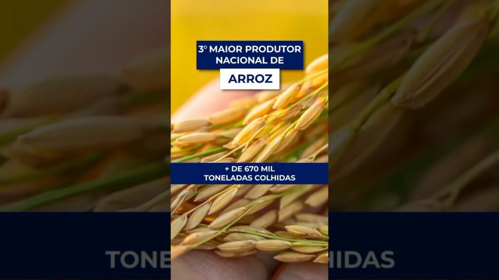 descubra as maravilhas do tocantins f09f8cb1