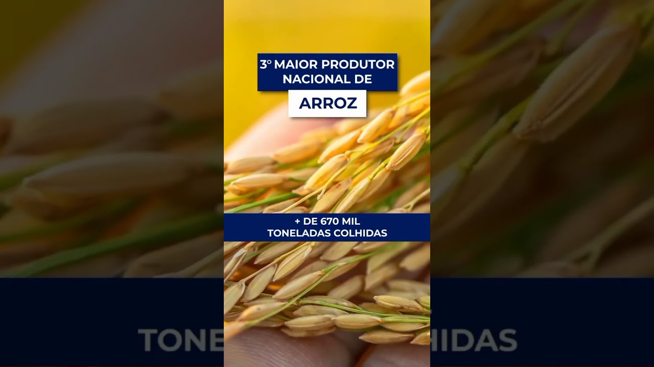 Descubra as maravilhas do Tocantins! 🌱