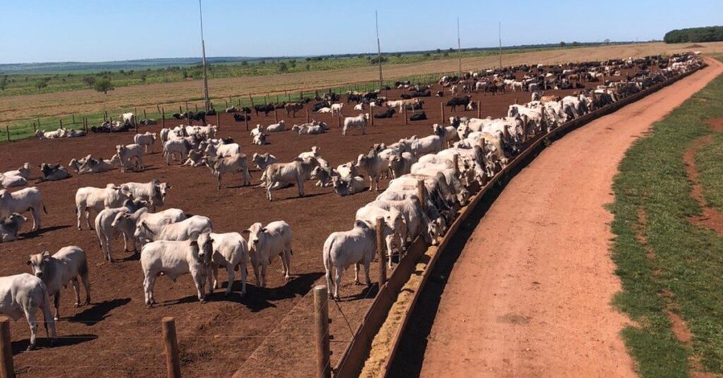 tendências entre os principais atores mundiais • Portal DBO