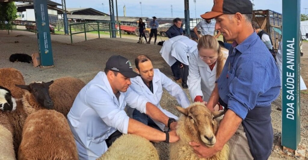 Descubra o que vem por aí! 3 Divulgado calendário de feiras e exposições agropecuárias do RS
