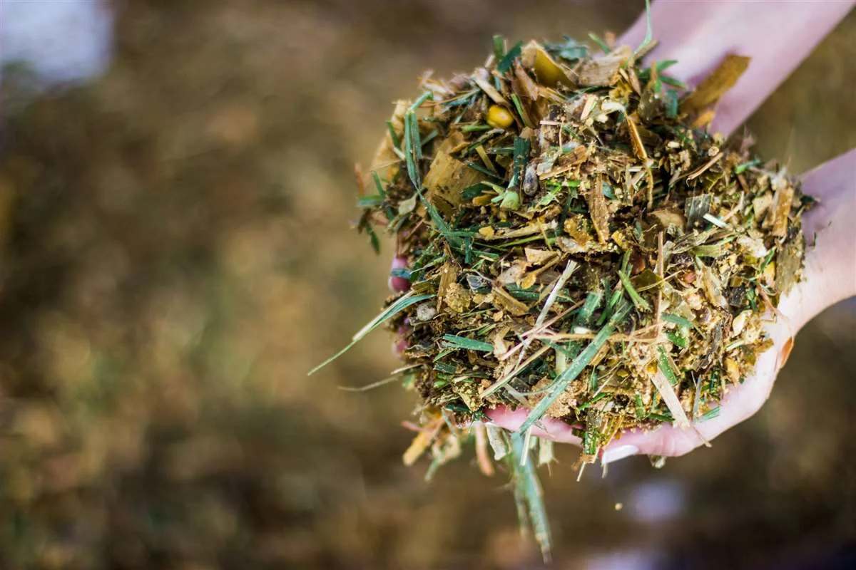 Descubra os segredos! 14 Como evitar a alta temperatura da silagem?