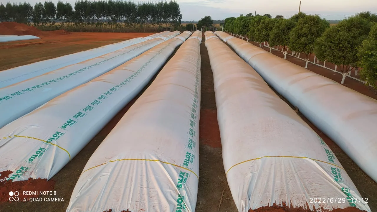 Descubra os segredos das lonas para silo! 3 vantagens da utilização de silos-bolsas é sua mobilidade