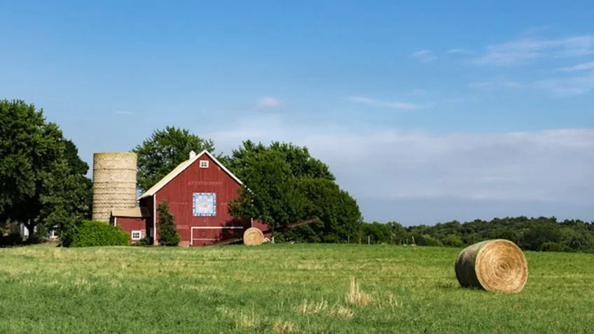 Descubra os segredos do Censo Agrícola dos EUA! 1 casa em pequena propriedade rural