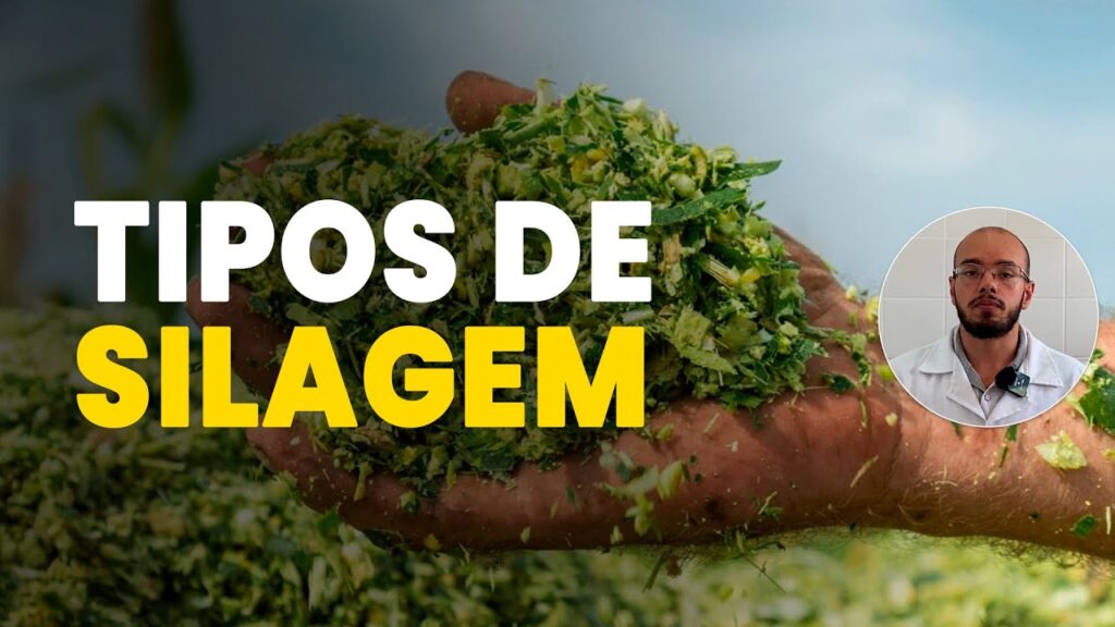 descubra os tipos de silagem
