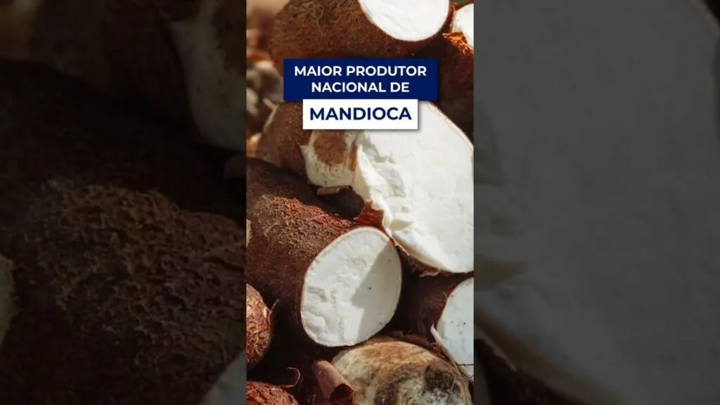 desvendando o agro do para f09f8cb1