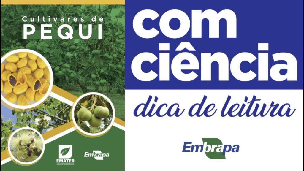 dica de leitura cultivares de pequizeiro