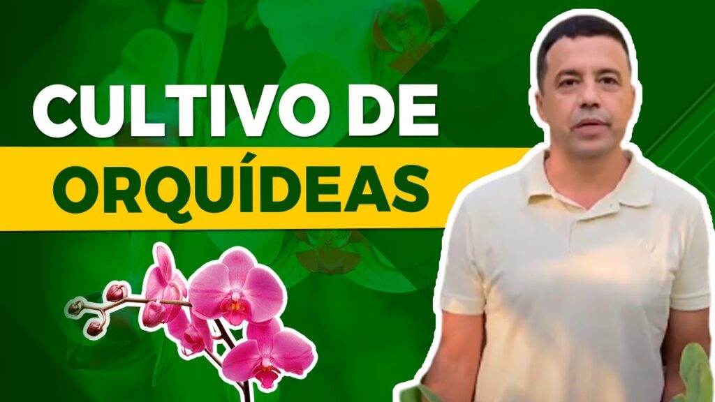 dicas de cultivo de orquideas por gustavo nogueira