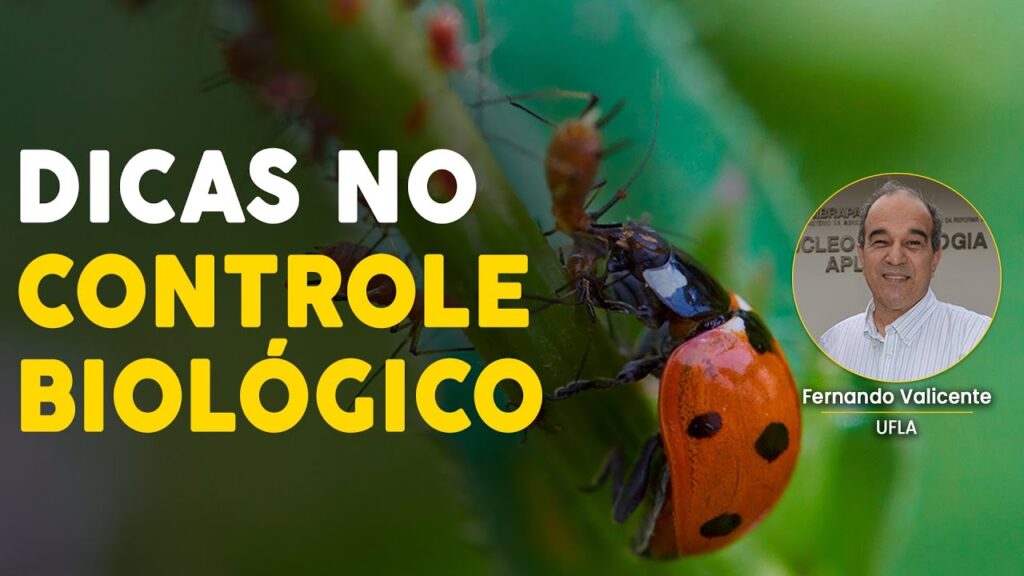 dicas para controle biologico eficiente
