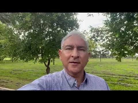 Dinapec 2023 - Convite | Harley Nonato de Oliveira - Embrapa Agropecuária Oeste 7 dinapec 2023 convite harley nonato de oliveira embrapa agropecuaria oeste