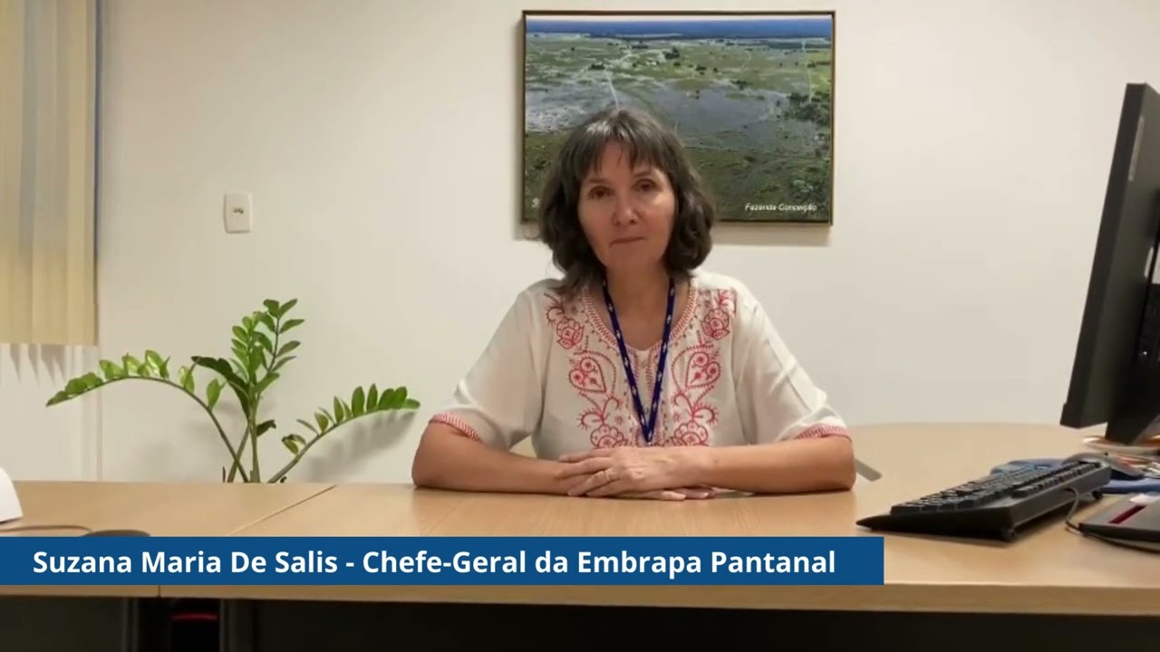 dinapec 2023 convite suzana maria de salis embrapa pantanal