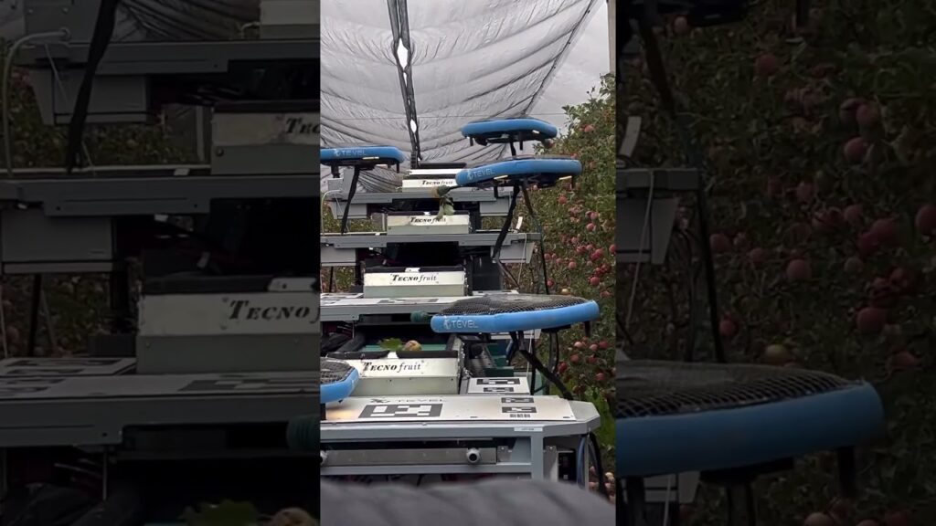 drone na colheita de macas f09f9a81f09f8d8e tecnologiaagricola