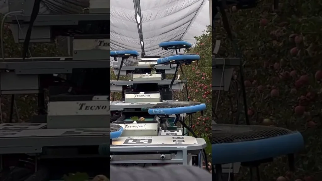 "Drone na colheita de maçãs!" 🚁🍎 #tecnologiaagrícola 8 drone na colheita de macas f09f9a81f09f8d8e tecnologiaagricola