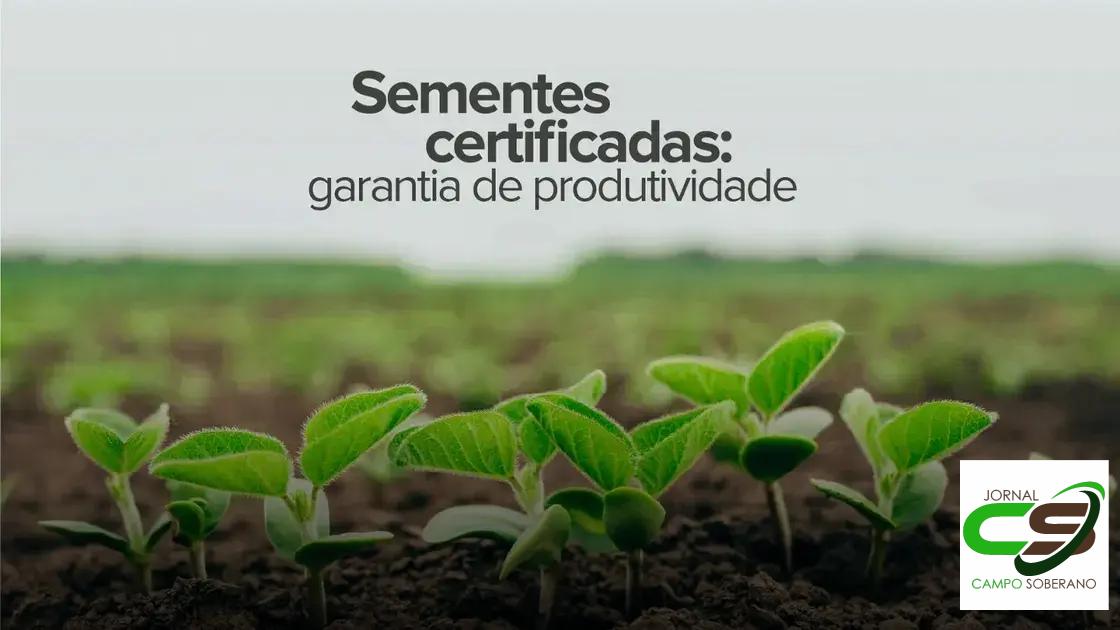 Economia e Rendimento: Vantagens Financeiras do Mega Sorgo Santa Elisa na Silagem