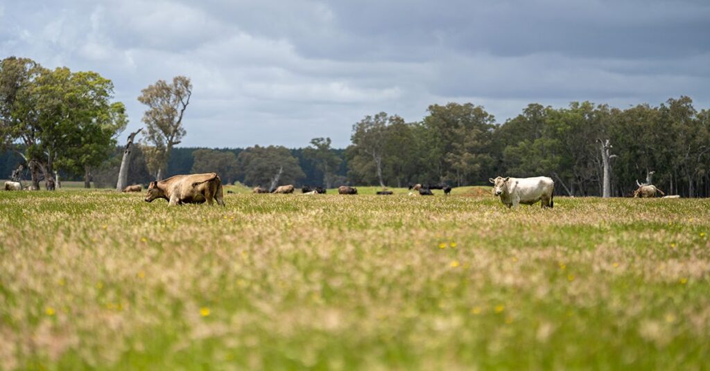 Efeito do El Niño em declínio, diz Inmet 9 Inmet divulga dados que mostram o enfraquecimento do El Niño • Portal DBO