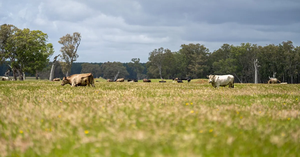 Efeito do El Niño em declínio, diz Inmet 11 Inmet divulga dados que mostram o enfraquecimento do El Niño • Portal DBO