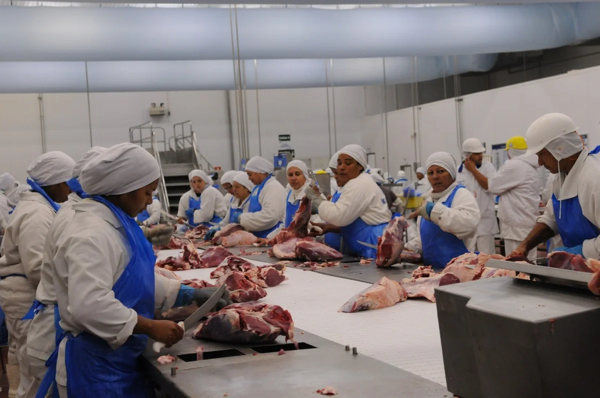 Pouco antes da chegada de Lula, Egito fecha acordo para aumentar importação de carne brasileira | Economia